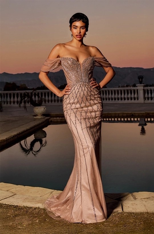 Model wearing an Evening Dress