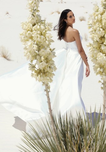 JH Bridal by Jimme Huang Style #BG-201020 #5 thumbnail